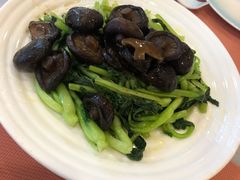 香菇炒青菜-黄山排云型旅酒店餐厅