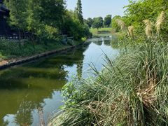 -西山漾湿地公园