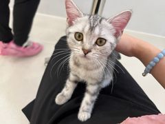 -共舞时光猫咖·狗咖(新街口店)