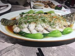 -伦敦桥西餐·养生粤菜