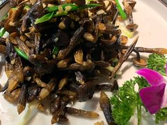 -雲蜀龙阁·金牌水煮鱼(方庄店)