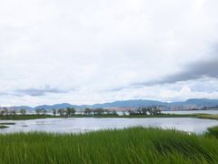 -洱海月湿地公园