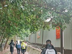 -重庆平顶山公园