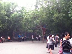 -紫竹院公园冰场