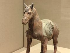 -太原市博物馆