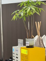-BOF HAIR BY HONTO