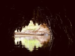 -怀托摩萤火虫洞