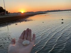 -柳湖沙月沙滩公园
