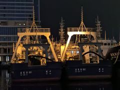 -深圳湾公园(南山区)