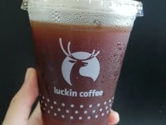 龙眼冰萃咖啡-瑞幸咖啡(深圳红山6979店)
