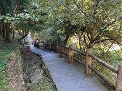 -藏龙百瀑风景区