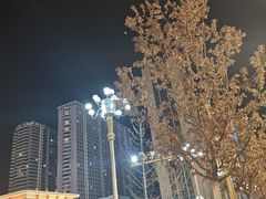 -迎泽公园