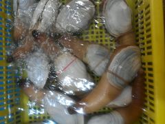 android_upload_pic-拉完海鲜大排档(温岭店)