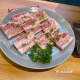 清河沉浸吃肉的快乐来咯！