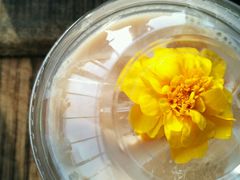 -Cafe Aewol Monsant