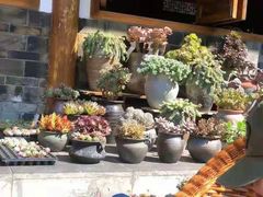 -华冠悠岚·庭院餐厅(青城后山店)