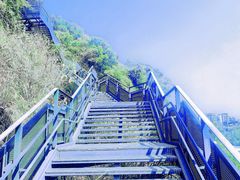 -福道