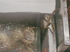 -亚马逊海鲜自助(梅溪湖步步高店)