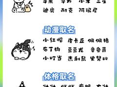 -芭比堂动物医院·心脏科·老年急重症·夜诊·吉雅分院
