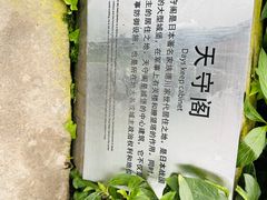 -南宫五洲植物乐园