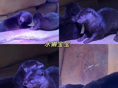 -南京海底世界