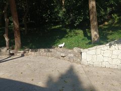 -北极阁公园