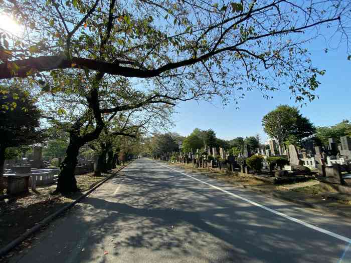 谷中灵园-"打卡签到值得去当天下雨了没有猫就有."-大众点评移动版