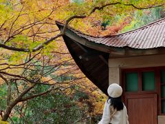 -莫干山风景区