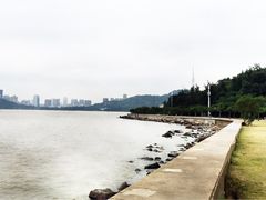-野狸岛