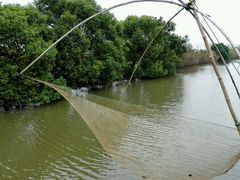 -明珠湖天鹅苑·农家菜馆