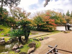 -醍醐寺