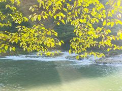 -高荡千年布依古寨旅游景区