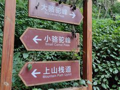 -大岭沟猕猴桃谷风景区