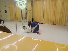 -勇气斑马·巴西柔术&跆拳道(浦东三林店)