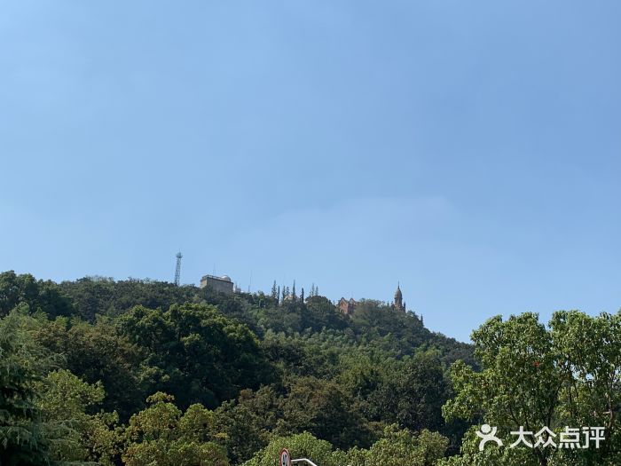 佘山國家森林公園-圖片-上海景點/周邊遊-大眾點評網