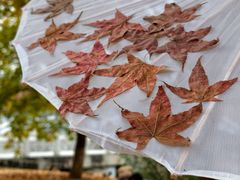 -福州大学(旗山校区)