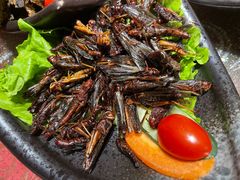 -品德宏·孔雀宴的发源地(金塔园店)