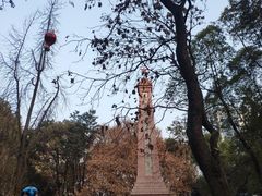 -绵阳人民公园(涪城区)