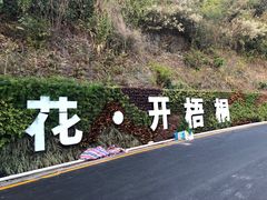 -梧桐山风景名胜区