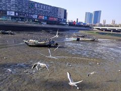 -琴岛之星摩天轮