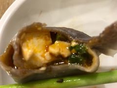 麻婆豆腐饺子-宝源饺子(麦子店街店)