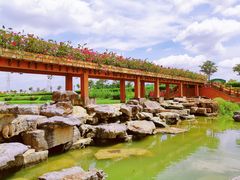 -那考河湿地公园