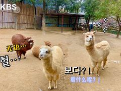 -杭州野生动物世界