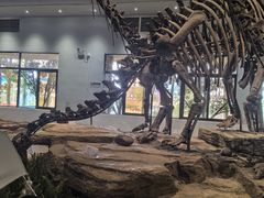 -自贡恐龙博物馆