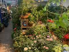 -双季花艺园艺市场(浦东店)