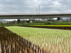 -光明小镇欢乐田园