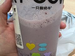 -一只酸奶牛(曲江龙湖星悦荟店)