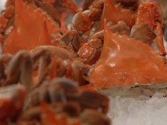 -广交会威斯汀酒店