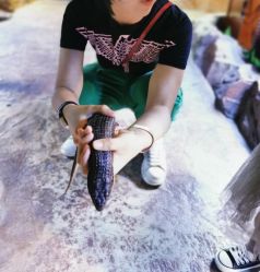 -酷嗒动物文化乐园(cutezoo西溪乐天城店)