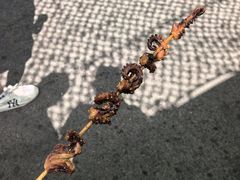 -长春农业博览园